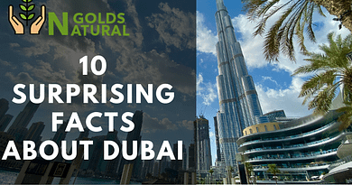 Facts About Dubai