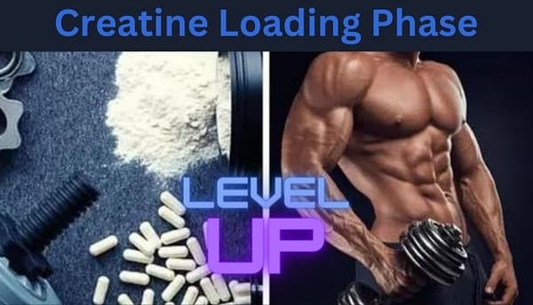 Creatine loading phase