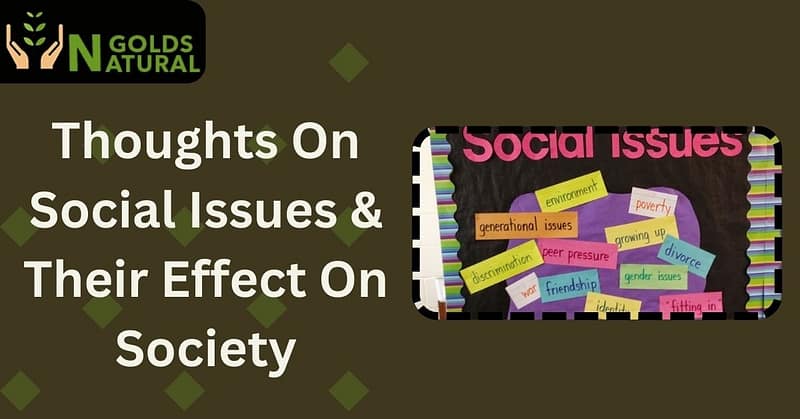 Thoughts On Social Issues & Their Effect On Society